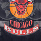 '92 WORLD CHAMPIONS CHICAGO BULLS